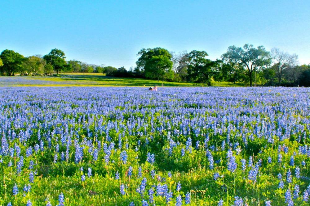 Square Inn Wimberley Dış mekan fotoğraf